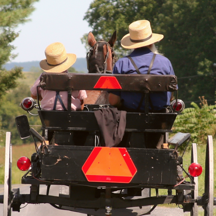 amish farm