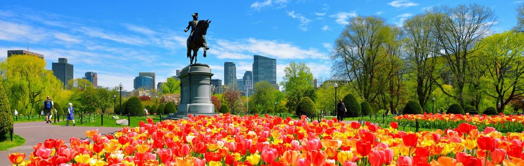 Boston public garden filled with yellow, orange, and red tulips with a statue of George Washington riding a horse and the city in the background, boston performance tours