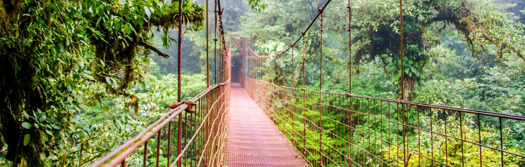Canopy walkway in Costa Rican forest, costa rica performance tours