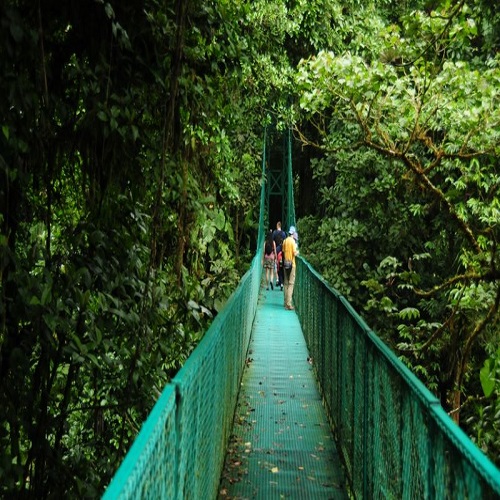 man crossing hanging bridge