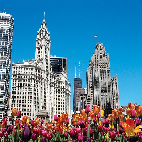 Chicago trip skyline