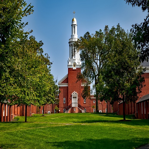 yale university